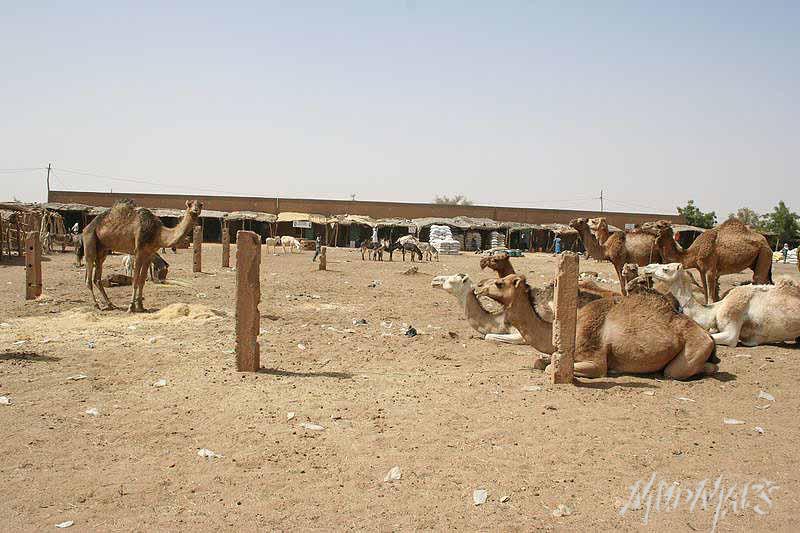 Mud Maps Africa Agadez 3118